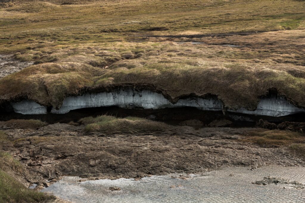 Permafrost