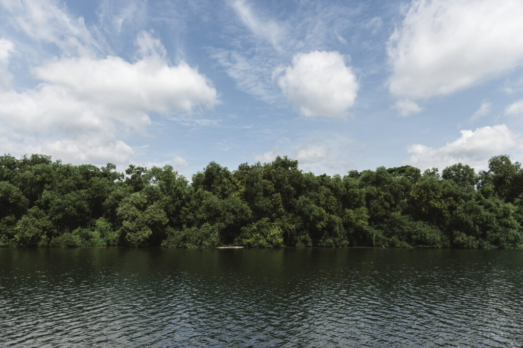 Rio na Amazônia com árvores e céu azul