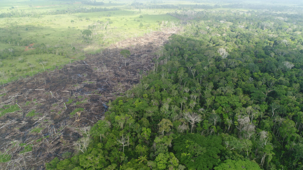 As áreas com maior desmatamento na Amazônia apresentam menor umidade do solo