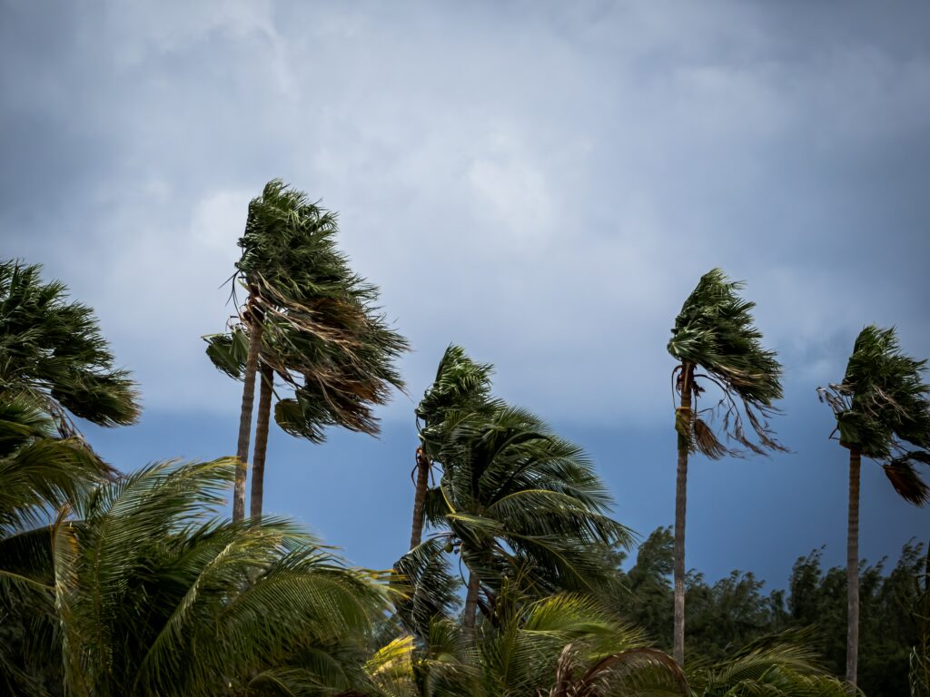 Uma tempestade severa pode influenciar as condições de apólices