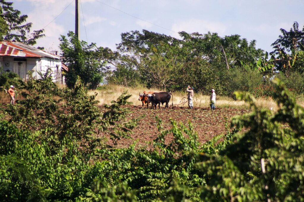 Imagem de fazenda durante o inverno em 2025